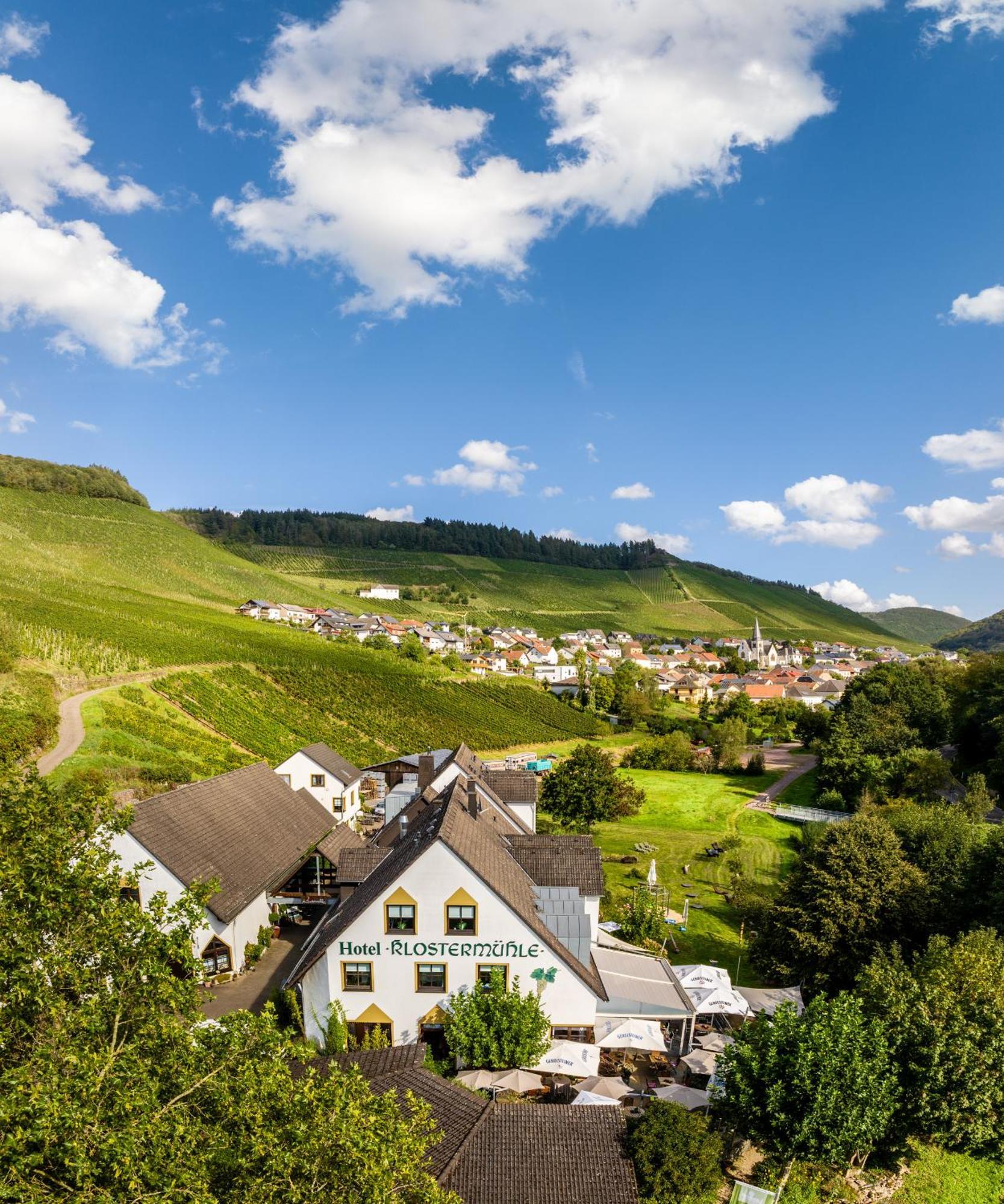 Weinhotel Restaurant Klostermuehle Ockfen エクステリア 写真