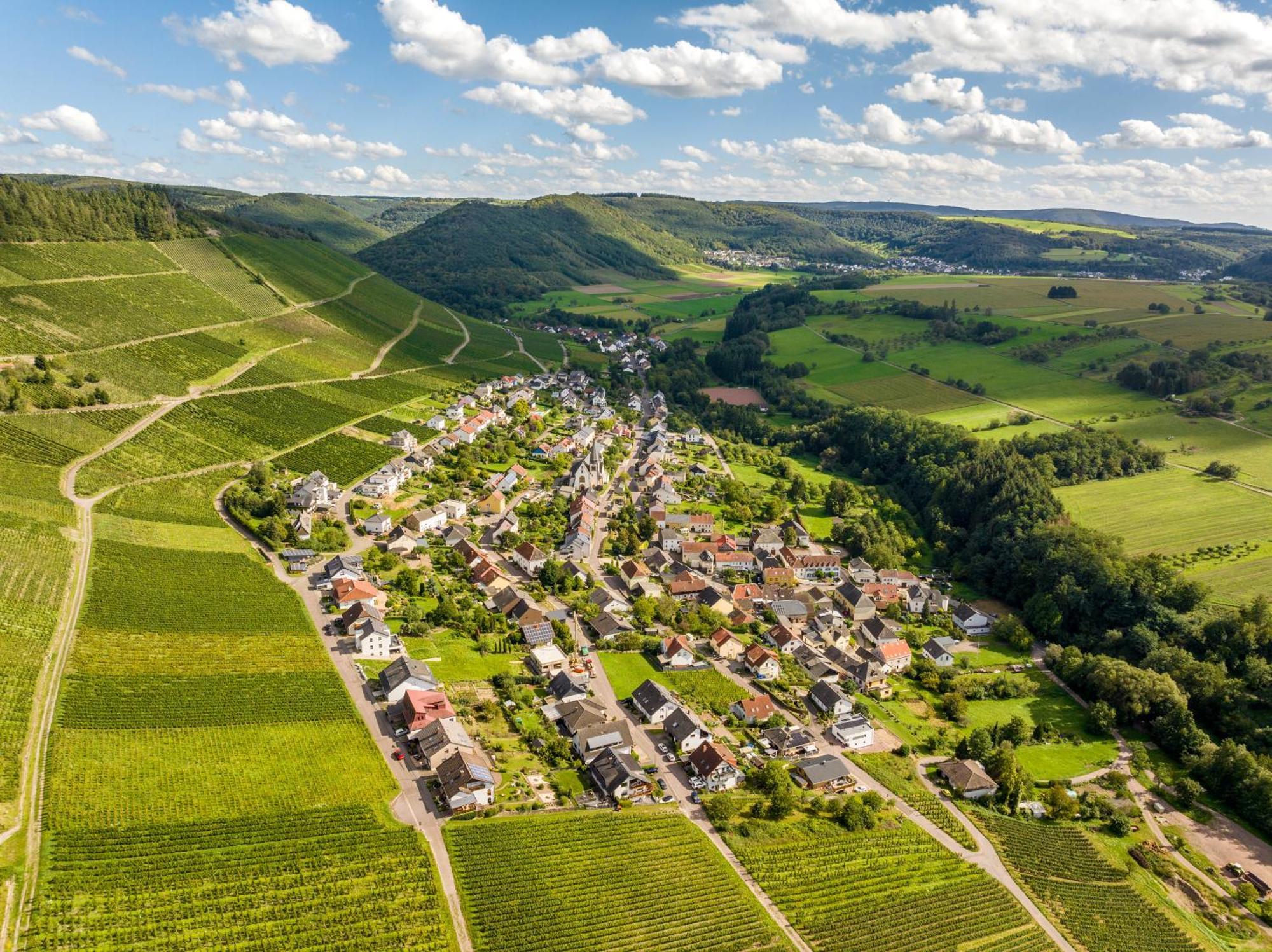 Weinhotel Restaurant Klostermuehle Ockfen エクステリア 写真