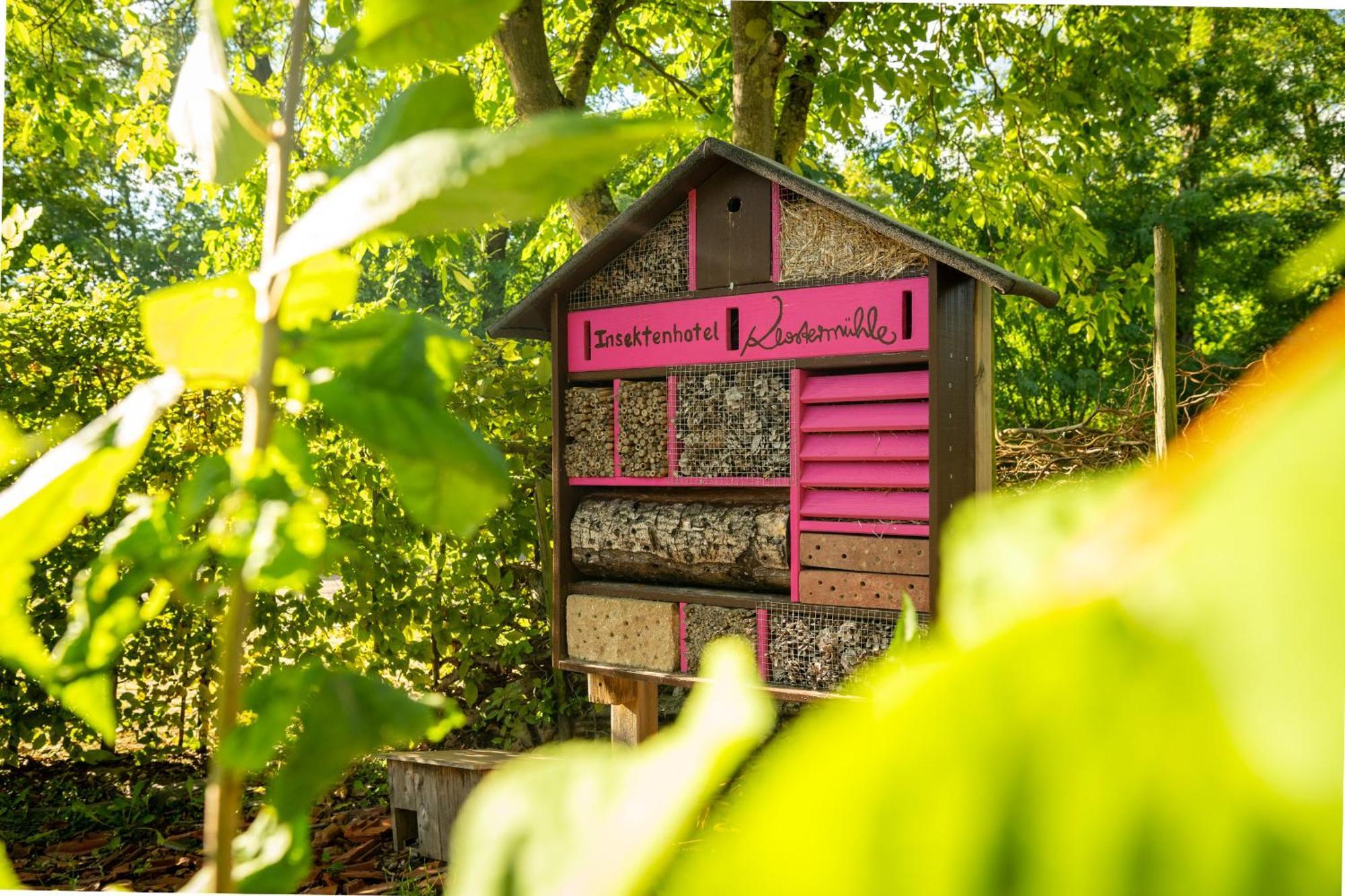 Weinhotel Restaurant Klostermuehle Ockfen エクステリア 写真