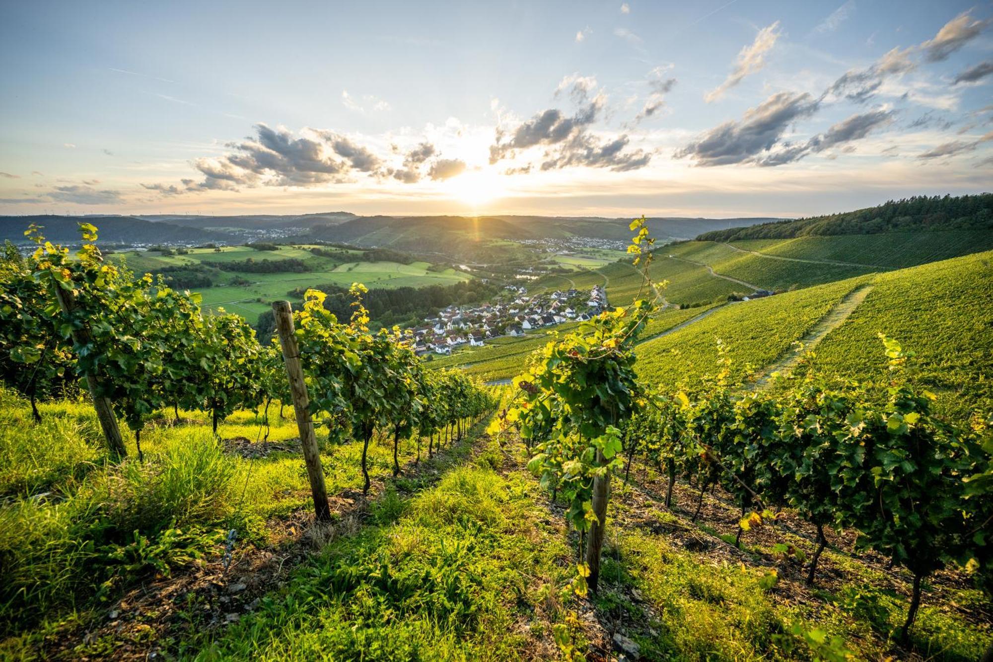 Weinhotel Restaurant Klostermuehle Ockfen エクステリア 写真